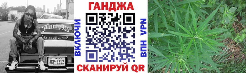 Купить закладки  Аргун  Канабис сатива 